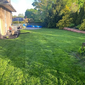 residential landscaping by Daniel campos reviewed on August 17, 2025