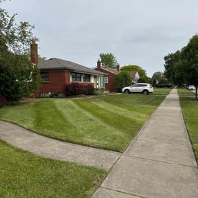 landscaping services by Dortch lawn care reviewed on August 15, 2025