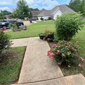 landscaping by Treadstone Lawn Care reviewed on August 13, 2025