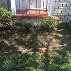 Flower Bed Weeding by Avilas Landscape and Hauling reviewed on August 13, 2025