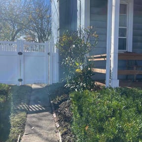 Bush Trimming by Pristine Properties LHS reviewed on November 10, 2025