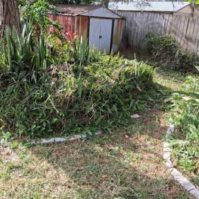 Bush Trimming by Discount Mowing reviewed on December 3, 2025