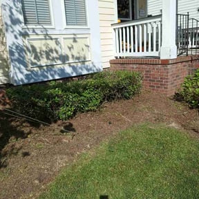 Bush Trimming by Penneys landscape reviewed on December 2, 2025