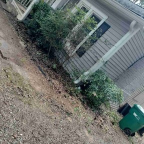 Bush Trimming by TOMS - Total Outdoor Maintenance reviewed on November 19, 2025