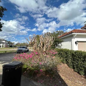 Bush Trimming by Maryhaven farm reviewed on February 27, 2026