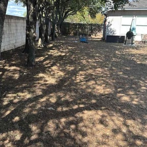 Leaf Removal by All Turf &amp; Terrain reviewed on November 8, 2025