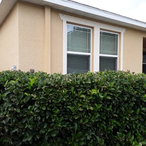 Bush Trimming by Killian Landscaping, LLC. reviewed on October 21, 2025