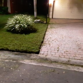 Bush Trimming by A&S Landscaping and Snow Removal reviewed on August 17, 2025