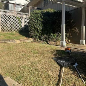 Bush Trimming by CoopersLawnService reviewed on November 23, 2025