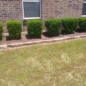 Bush Trimming by A job well done reviewed on August 15, 2025