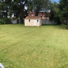 lawn service by DT&K LawnCare reviewed on August 5, 2023