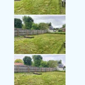 turf care by Budget Lawn Service reviewed on October 16, 2023