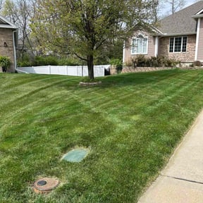 landscaping services by Just cut it LLC reviewed on June 10, 2025