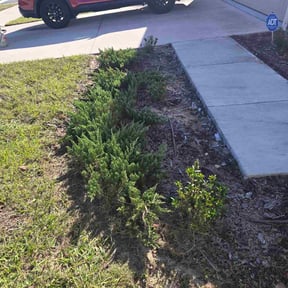 Flower Bed Weeding by R&amp;N Lawn Service reviewed on October 24, 2025