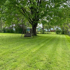 landscaping by Fazal Management Group LLC reviewed on August 19, 2025