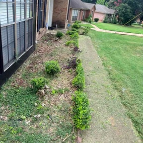 Bush Trimming by Fresh Fade Lawns reviewed on July 19, 2026