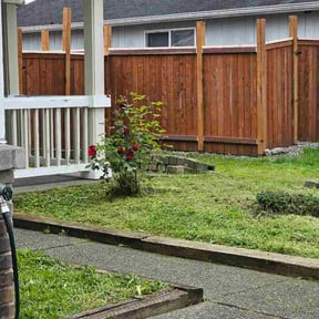 Bush Trimming by Green planet llc reviewed on May 22, 2026