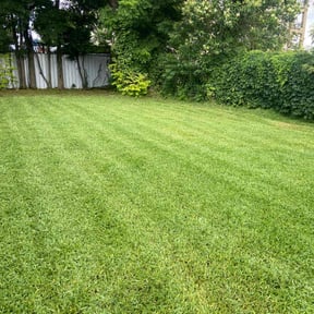 yard care by Richard's Services reviewed on August 17, 2025