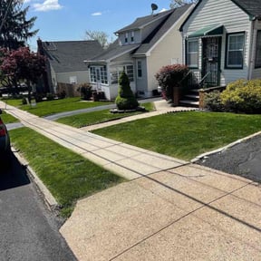 yard maintenance by Mister Detail Lawn Care Service reviewed on November 22, 2025