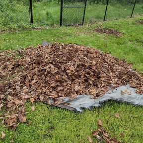 Leaf Removal by TorresLawnservice reviewed on October 1, 2025