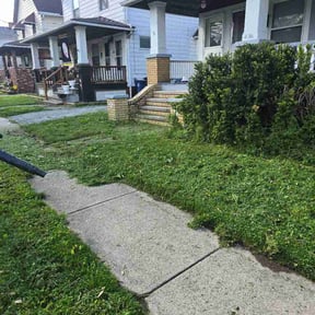 Bush Trimming by Dave’s Lawn Service reviewed on May 1, 2026