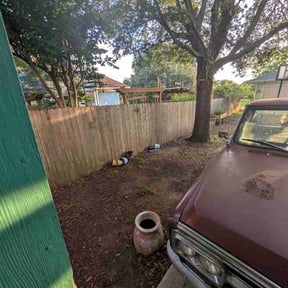 Leaf Removal by E-maculate Lawn  Care LLC reviewed on May 18, 2026