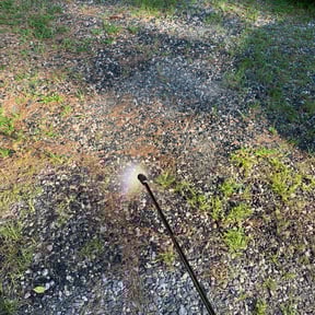 Flower Bed Weeding by Robert reviewed on August 19, 2025