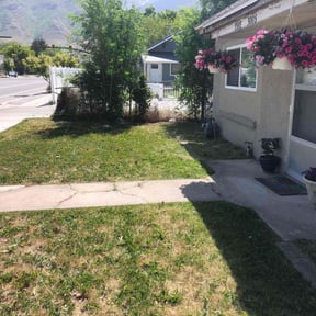 Bush Trimming by Mr. Mower reviewed on August 21, 2025