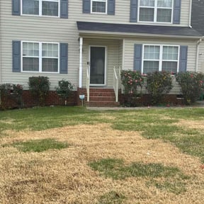 Bush Trimming by Rexx018 reviewed on August 15, 2025