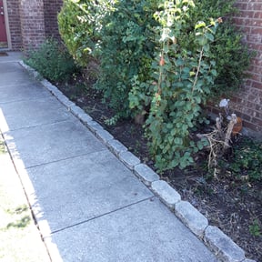 Leaf Removal by Integrital Home Solutions Inc reviewed on September 6, 2025