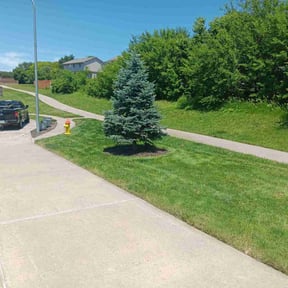 turf care by The Seventy Eight Lawn Care reviewed on April 14, 2025