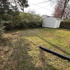 Leaf Removal by Field of Dreams Landscaping reviewed on June 15, 2026
