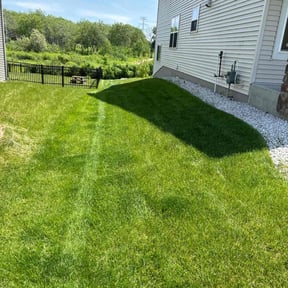 yard care by K&amp;D land maintenance reviewed on November 21, 2025