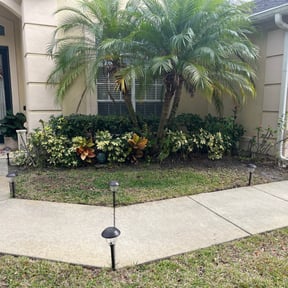 Bush Trimming by Diego Mojica Lawn Care reviewed on August 18, 2025