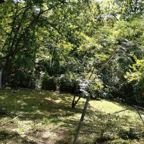 Leaf Removal by Underwood Outdoors  reviewed on September 10, 2025