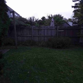 Bush Trimming by Reil Lawn Company LLC reviewed on August 17, 2025