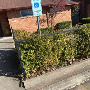 Bush Trimming by AllINOne reviewed on June 7, 2025