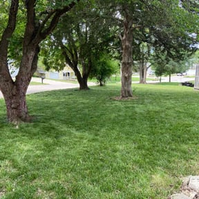 Sodding by  reviewed on August 29, 2025