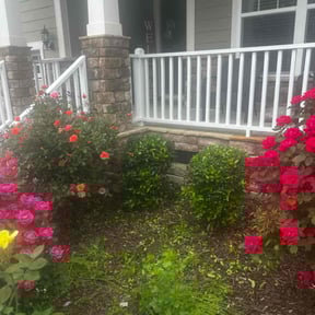 Bush Trimming by LG Lawn Services reviewed on November 23, 2025