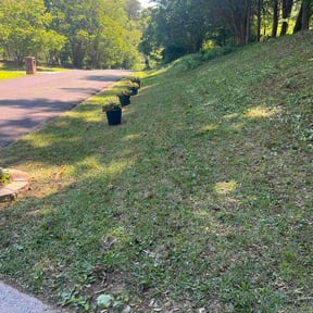 Leaf Removal by A&amp;J Services reviewed on June 10, 2026