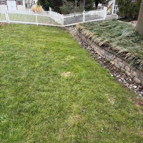 Leaf Removal by Chemen reviewed on August 1, 2026
