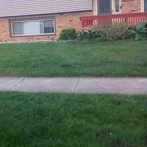 turf care by Pats lawn care reviewed on October 1, 2024