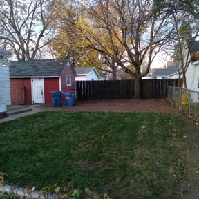 Leaf Removal by Better Days reviewed on September 10, 2025