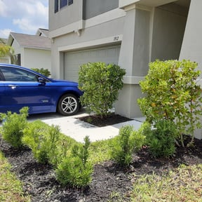 Bush Trimming by Premium Design Landscaping Inc reviewed on August 20, 2025