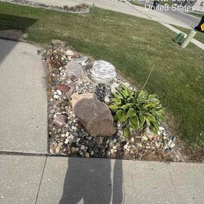 Flower Bed Weeding by Lawn care by lalo reviewed on July 3, 2026