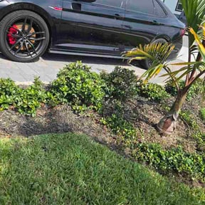Flower Bed Weeding by The Lawn Enforcements reviewed on July 6, 2026