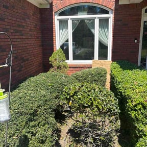 Bush Trimming by Lester L&amp;C Services reviewed on April 24, 2026