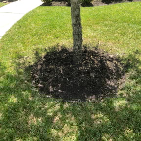 Flower Bed Weeding by Field of Green lawn and Landscape reviewed on August 16, 2025
