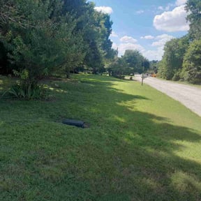 Leaf Removal by Thunder City Lawn Care reviewed on September 28, 2025