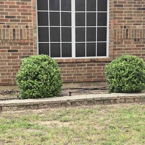 Bush Trimming by Texas lawnscapes reviewed on August 15, 2025